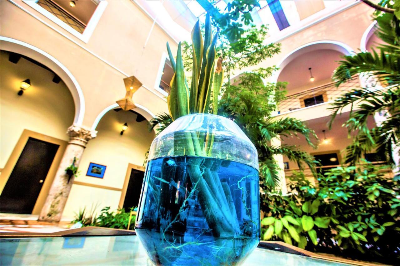 Holiday Inn Express Merida Centro By Ihg Экстерьер фото